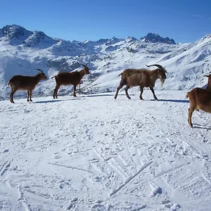 Bed and breakfast D'hotes Kiki & Coco Saint-Jean-de-Maurienne